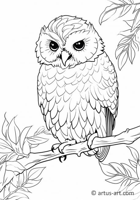 Awesome Birds of North America Coloring Page